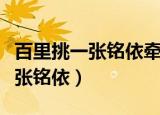 百里挑一张铭依牵手陈辰结婚了吗（百里挑一张铭依）