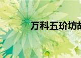 万科五玠坊胡歌（万科五玠坊）