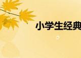 小学生经典日记（经典日记）