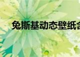 兔斯基动态壁纸含义（兔斯基动态壁纸）