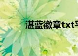 湛蓝徽章txt平板（湛蓝徽章txt）
