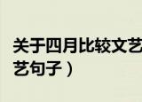 关于四月比较文艺的句子（关于描写四月的文艺句子）
