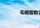毛细管数公式（毛细管数）