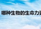 哪种生物的生命力更强（大家一起来学习吧）