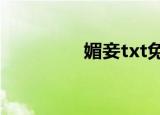 媚妾txt免费下载（魅妾）