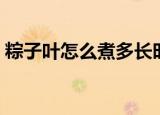 粽子叶怎么煮多长时间（粽子叶煮多久最好）