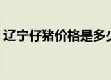 辽宁仔猪价格是多少钱一斤（辽宁仔猪价格）