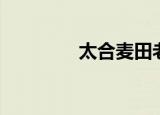 太合麦田老板（太和麦田）