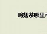 鸣翅茶哪里可以买到（鸣翅茶）