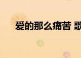 爱的那么痛苦 歌词（我痛苦的爱歌词）