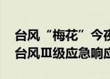 台风“梅花”今夜移入东海 中国气象局启动台风Ⅲ级应急响应
