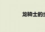 龙骑士的坐骑（蓝龙坐骑）