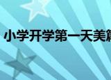 小学开学第一天美篇内容（小学开学第一天）