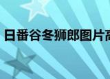 日番谷冬狮郎图片高清（日番谷冬狮郎头像）