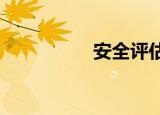 安全评估员的附属价格