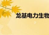 龙基电力生物质电厂（龙基电力）