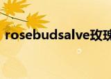 rosebudsalve玫瑰润唇膏真假（rosebud）