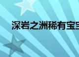 深岩之洲稀有宝宝（深岩之洲稀有精英）
