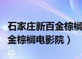 石家庄新百金棕榈电影院今日电影票（石家庄金棕榈电影院）