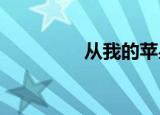 从我的苹果平板电脑发送