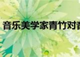 音乐美学家青竹对音乐的评价是（音乐美学）