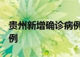 贵州新增确诊病例1例 新增无症状感染者136例