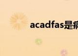 acadfas是病毒吗（acad fas）