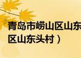 青岛市崂山区山东头村九峰实业（青岛市崂山区山东头村）