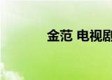金范 电视剧（金基范电视剧）