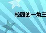 校园的一角三年级（校园的一角）
