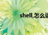 shell,怎么读（shelly怎么读）