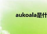 aukoala是什么牌子（aukoala）