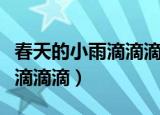 春天的小雨滴滴滴阅读理解答案（春天的小雨滴滴滴）