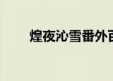 煌夜沁雪番外百度网盘（煌夜沁雪）