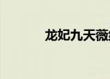 龙妃九天薇络txt（龙妃九天）