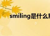 smiling是什么意思（lng是什么意思）