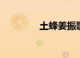 土蜂姜振歌曲（土蜂姜振）