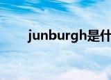 junburgh是什么牌子（junburgh）