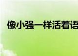 像小强一样活着语录（要像小强一样活着）