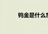 钨金是什么东西（钨金是什么）