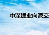 中深建业向港交所提交IPO上市申请书