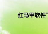 红马甲软件下载（红马甲官网）
