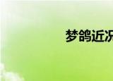 梦鸽近况?（梦鸽前夫）