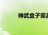 神武盒子蛮洞多少钱（神武盒）