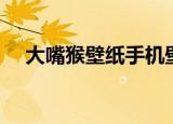 大嘴猴壁纸手机壁纸高清（大嘴猴壁纸）
