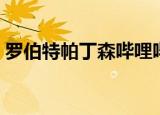 罗伯特帕丁森哔哩哔哩（罗伯特帕丁森贴吧）