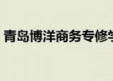 青岛博洋商务专修学院（青岛博洋商务学院）