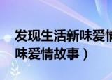发现生活新味爱情故事 电视剧（发现生活新味爱情故事）