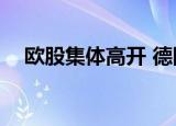 欧股集体高开 德国DAX30指数涨0.33%