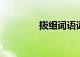 拨组词语词语（拨组词语）